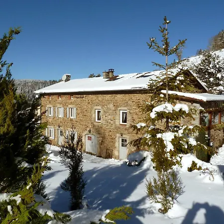 Gite Familial 9 Pers La Maison Sous Les Etoiles Sembadel