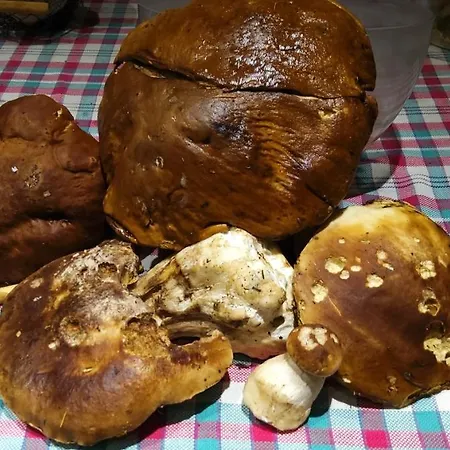 Gite Familial 9 Pers La Maison Sous Les Etoiles Pensionat *